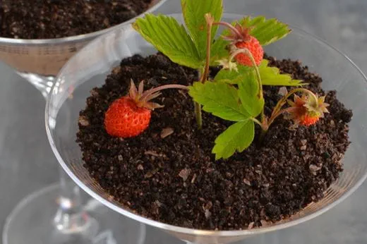 recipe image Čokoládová hlina